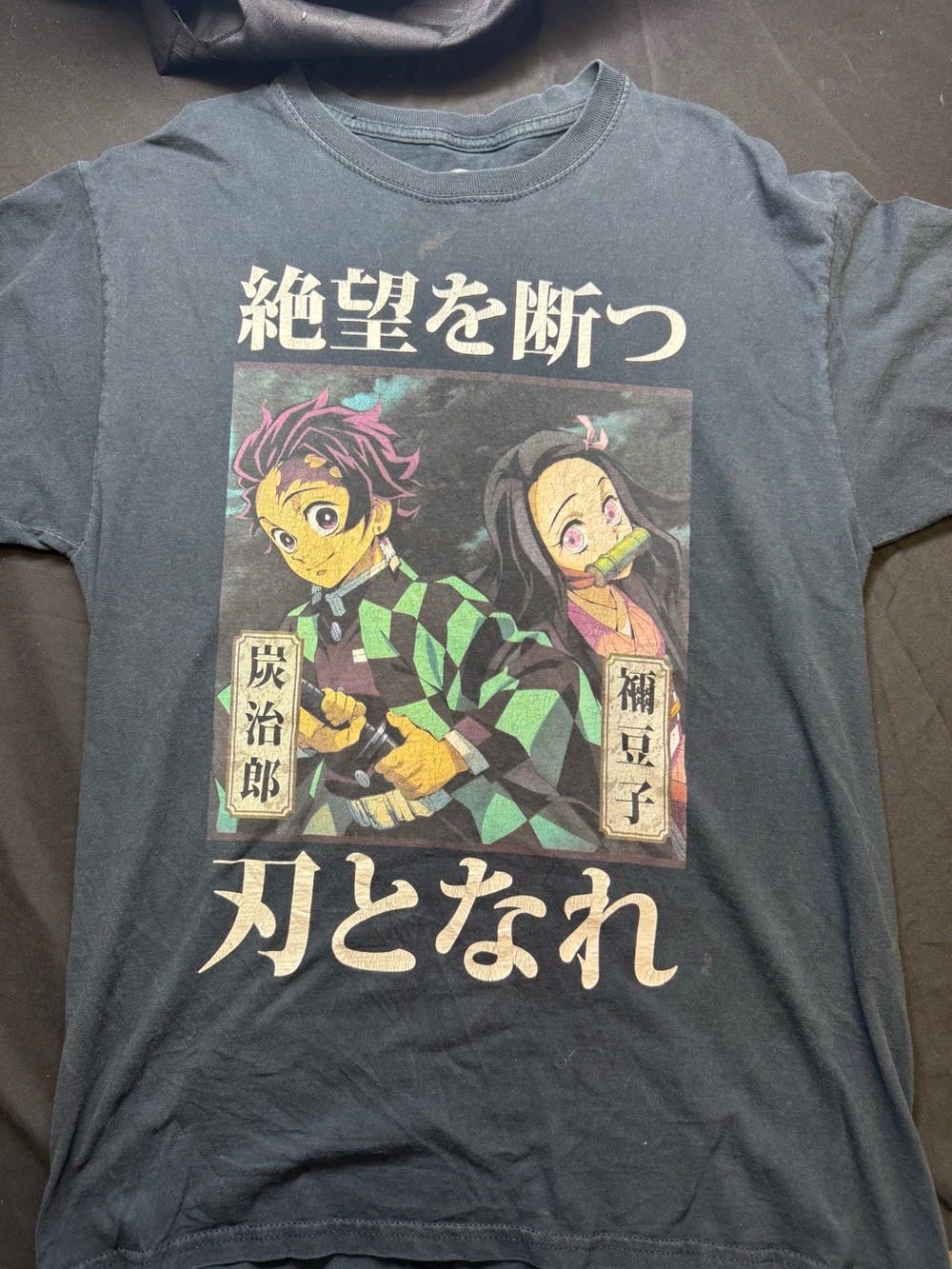 Demon Slayer Graphic Tee - Black with Green Accent Tanjiro & Nezuko (M)